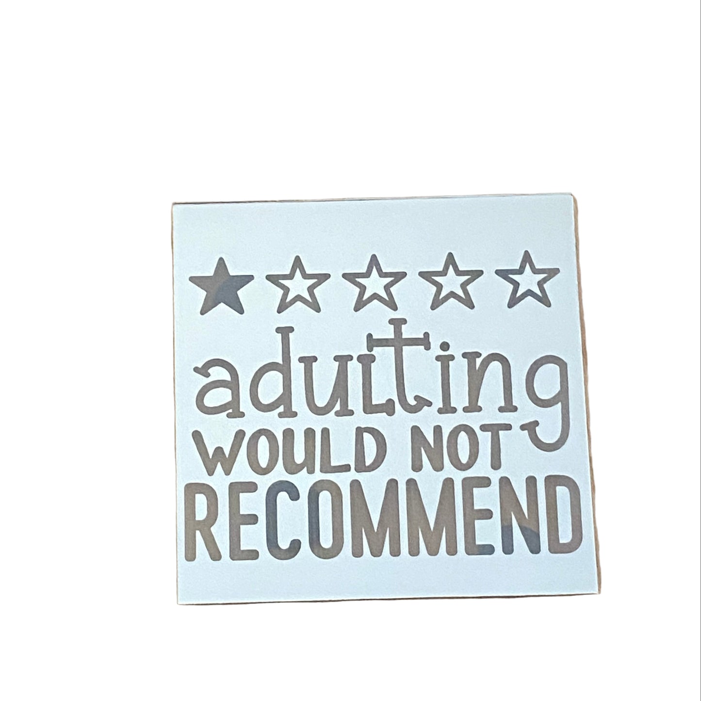"Adulting- Would Not Recommend" Laser Engraved Mirror Magnet